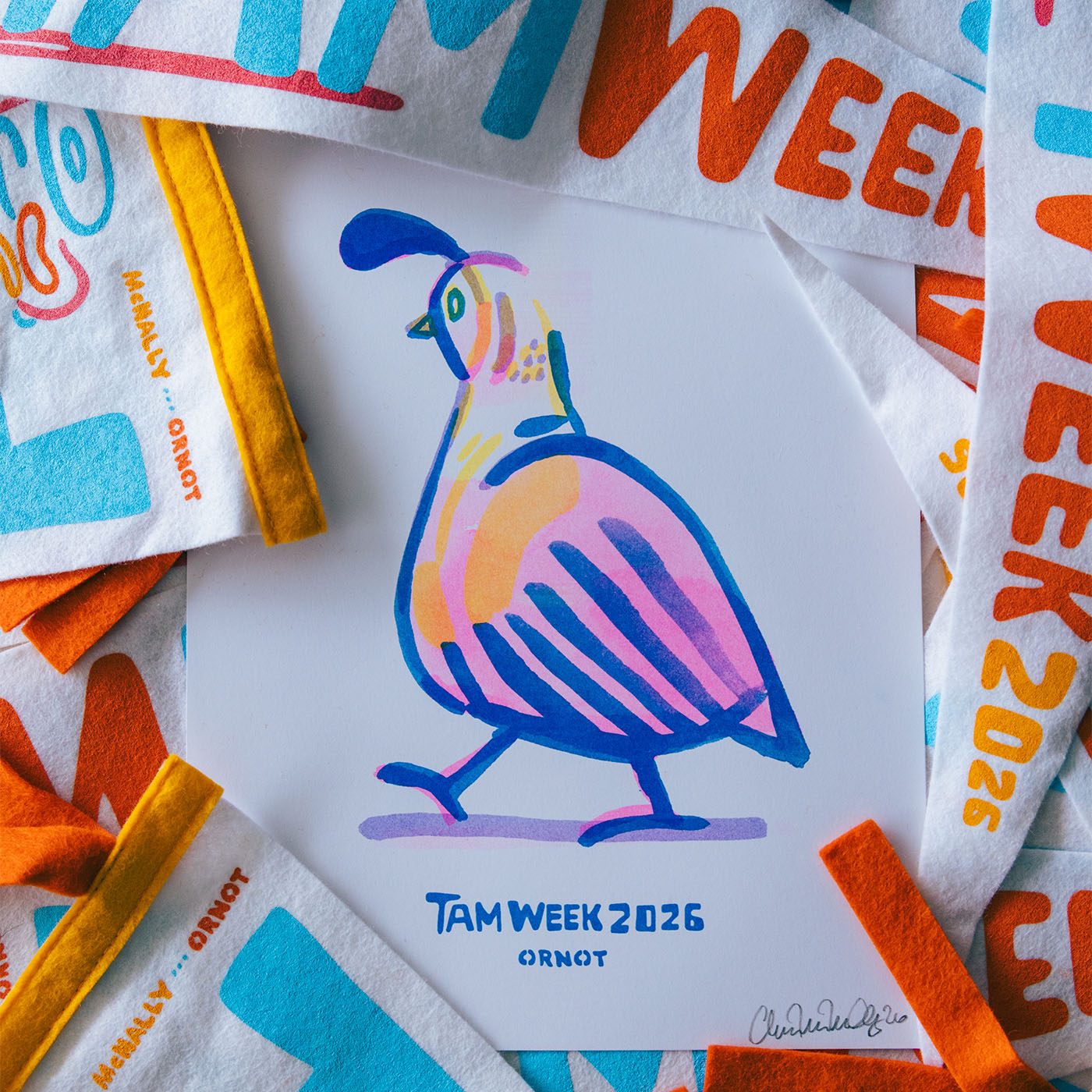 Tam Week Year Two
