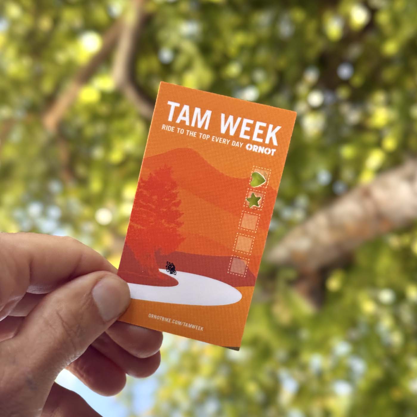 Tam Week 2025 Recap